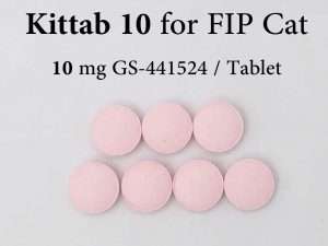 Kittab 10 of 7 GS-441524 tablets